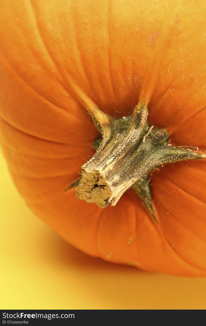 Pumpkin Detail