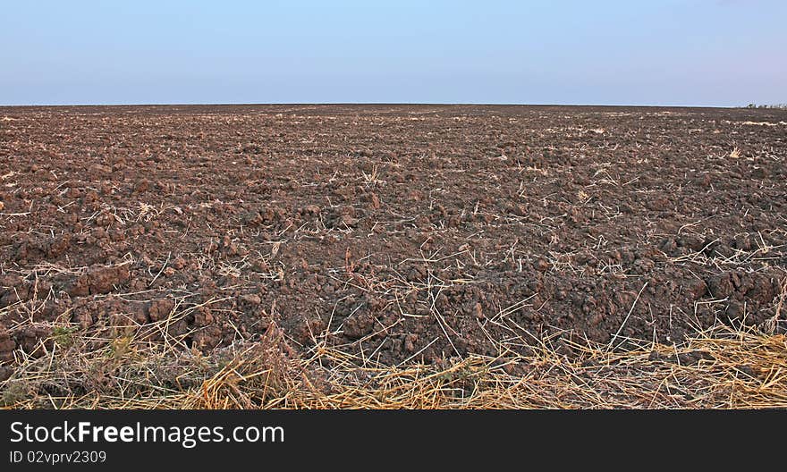 Arable field extends to the horizon