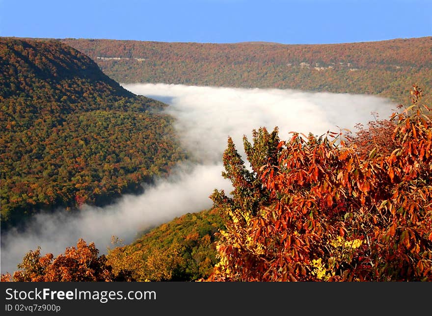 Signal Point Overlook