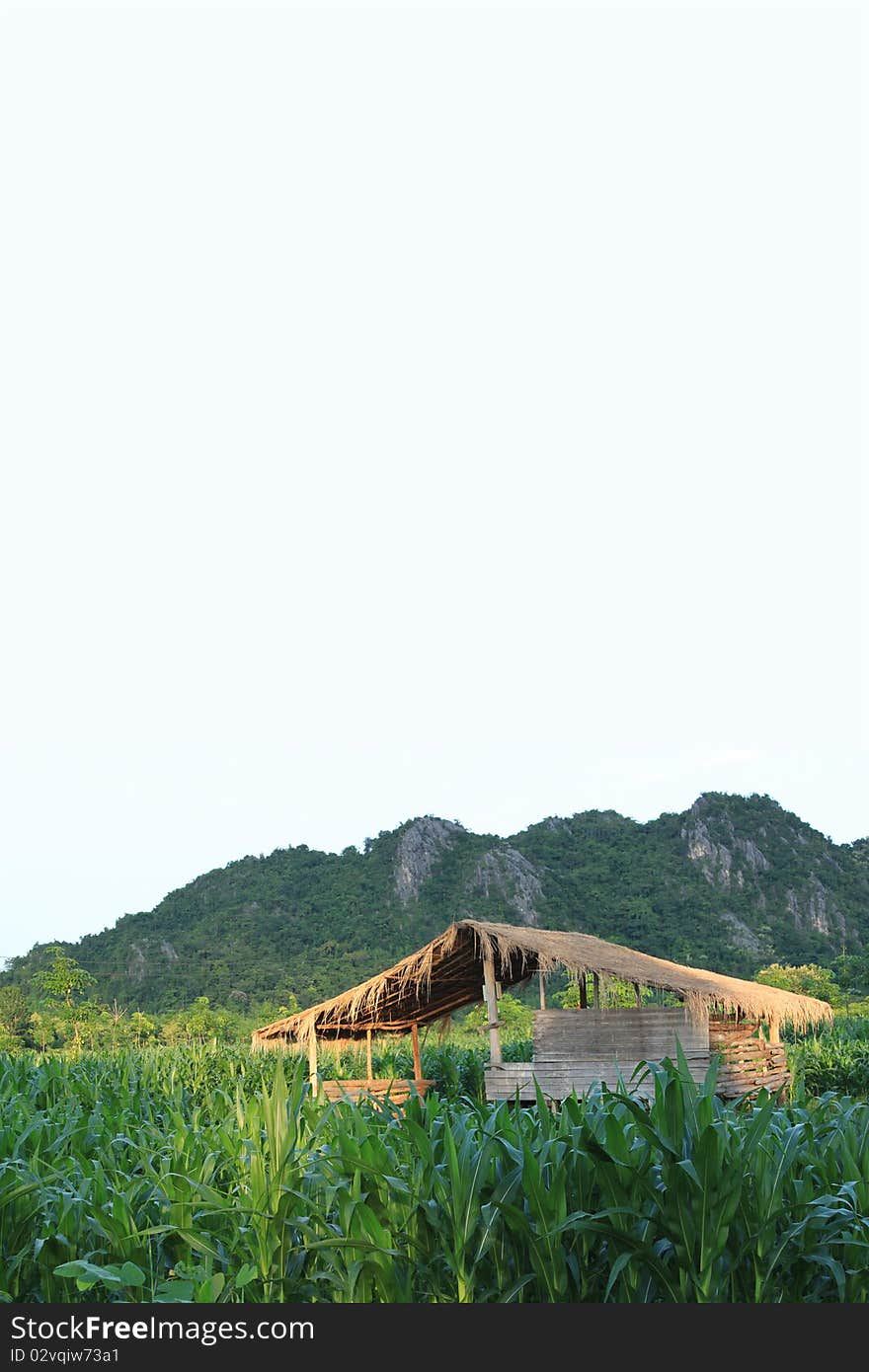 Cron fram and hut in Thailand