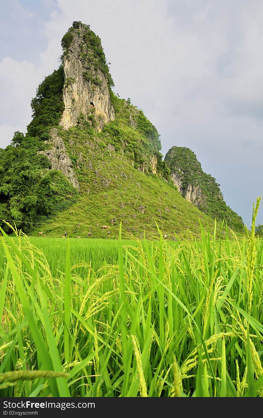 The peculiar modelling limestone hills