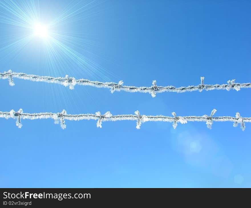 Barbed wire, covered with snow. Against the blue sky. Barbed wire, covered with snow. Against the blue sky