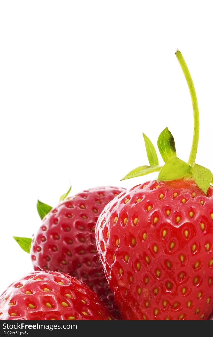 Close-up shot of juicy strawberries isolated on white. Close-up shot of juicy strawberries isolated on white