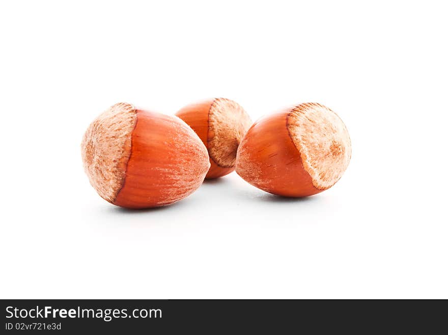 Three hazelnuts