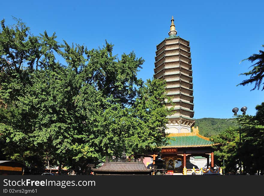 Buddha s tooth relic