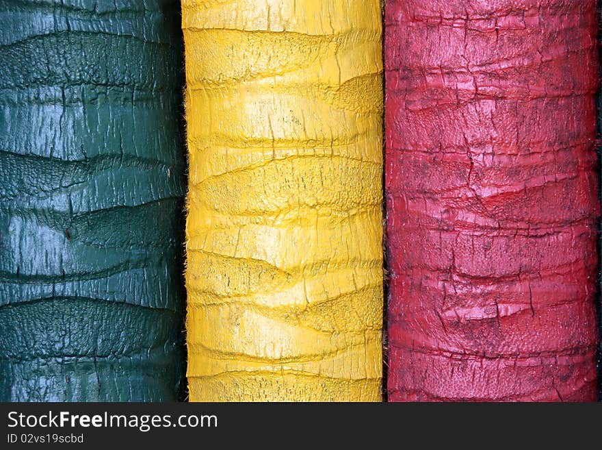 This is colorful coconut trunk.