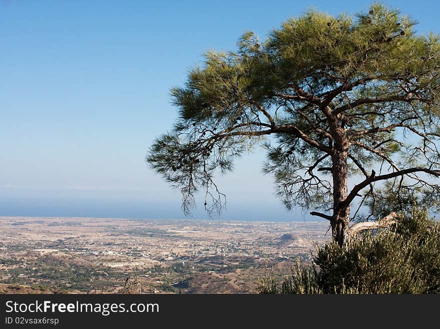 Lone pine on a mountain top against the blue sky. Lone pine on a mountain top against the blue sky