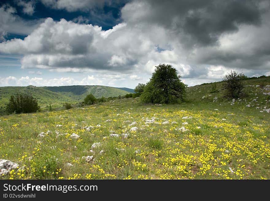 Mountain Landscape