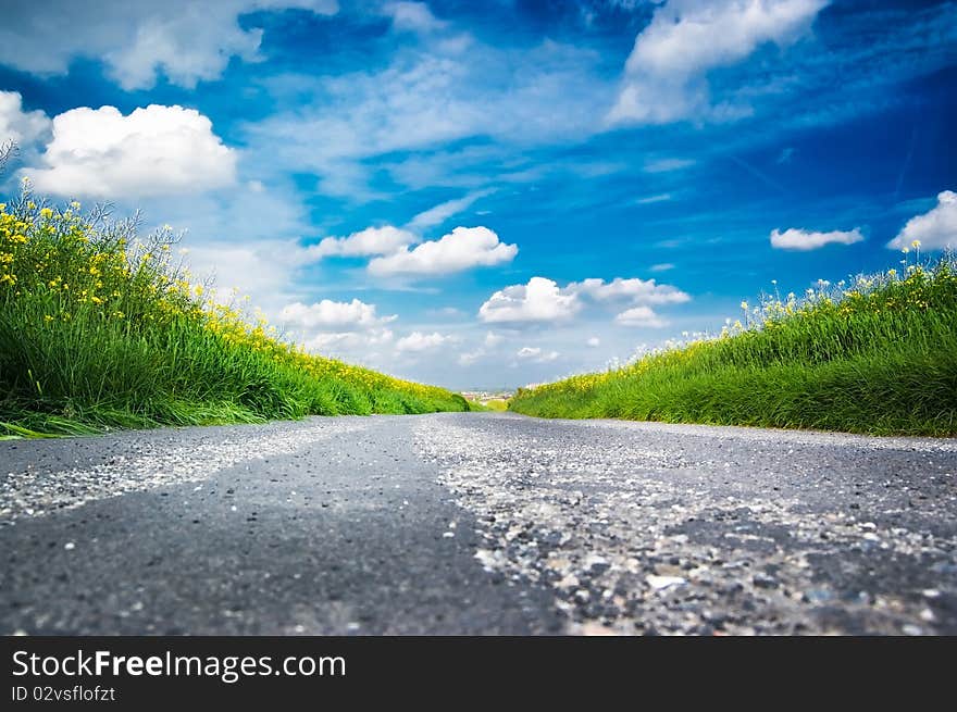 Country road landscape