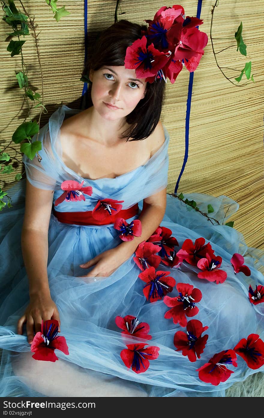 Portrait of a young woman with green eyes posing in a studio wearing a beautiful gown. Portrait of a young woman with green eyes posing in a studio wearing a beautiful gown