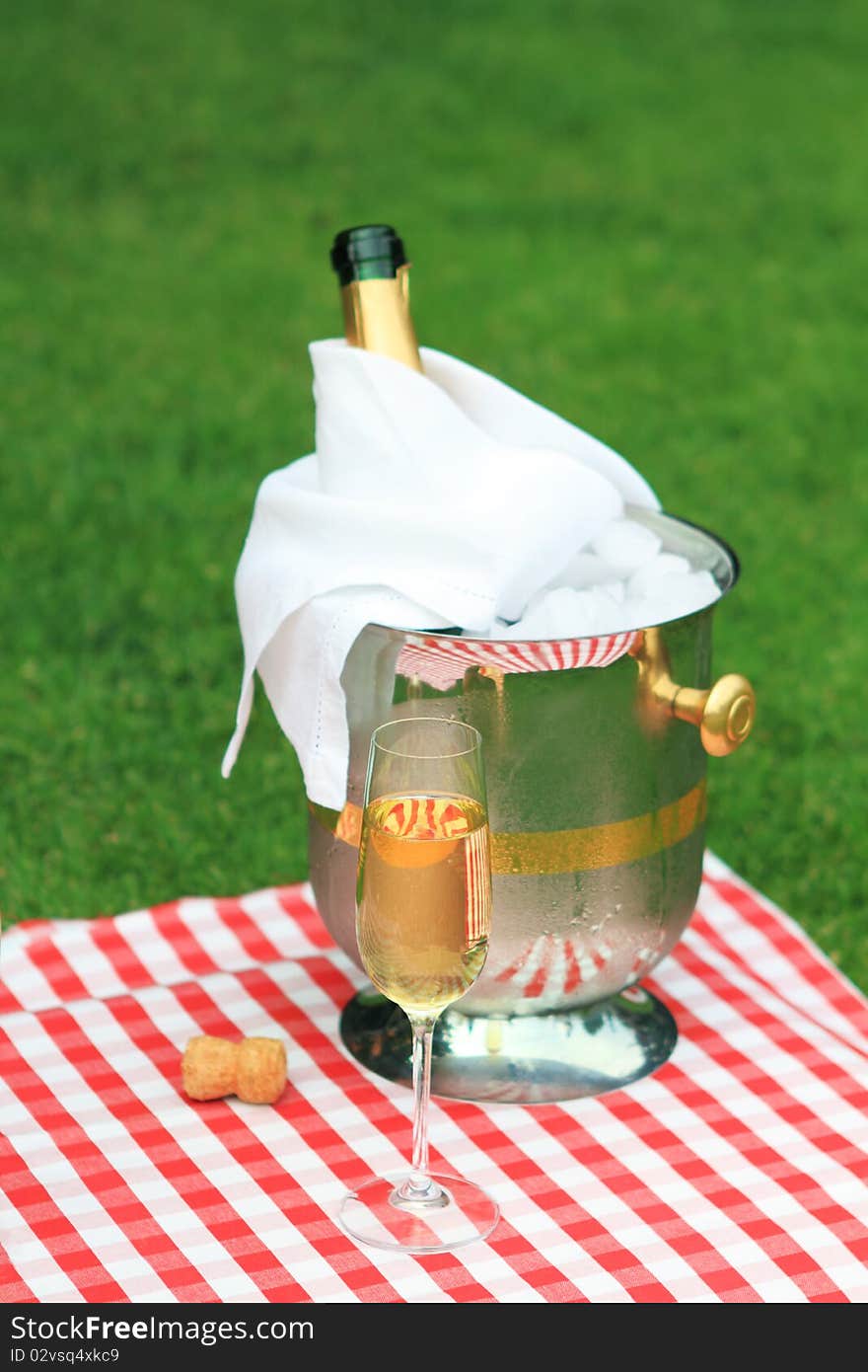 Champagne in the glass at a summer picnic. Champagne in the glass at a summer picnic