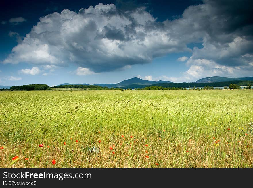 Thunderstorm weather in field with dramatic clouds. Thunderstorm weather in field with dramatic clouds