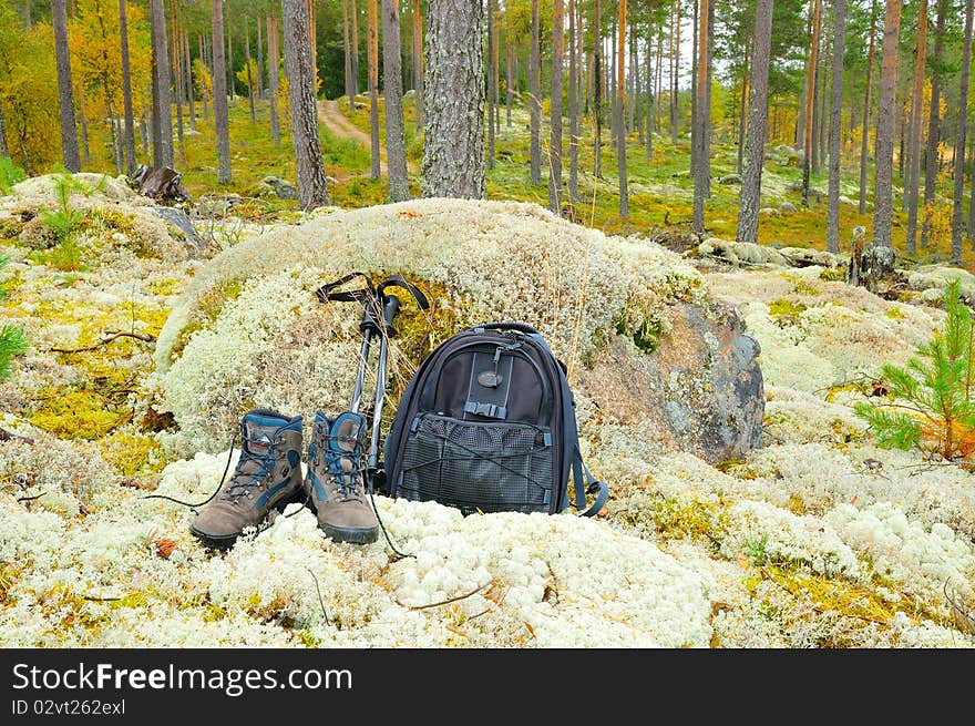 Break from walking in the woods in autumn.