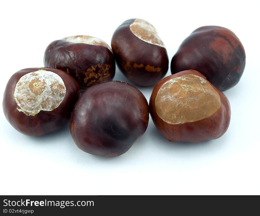 Some brown fruits of a tree of a chestnut on a white background