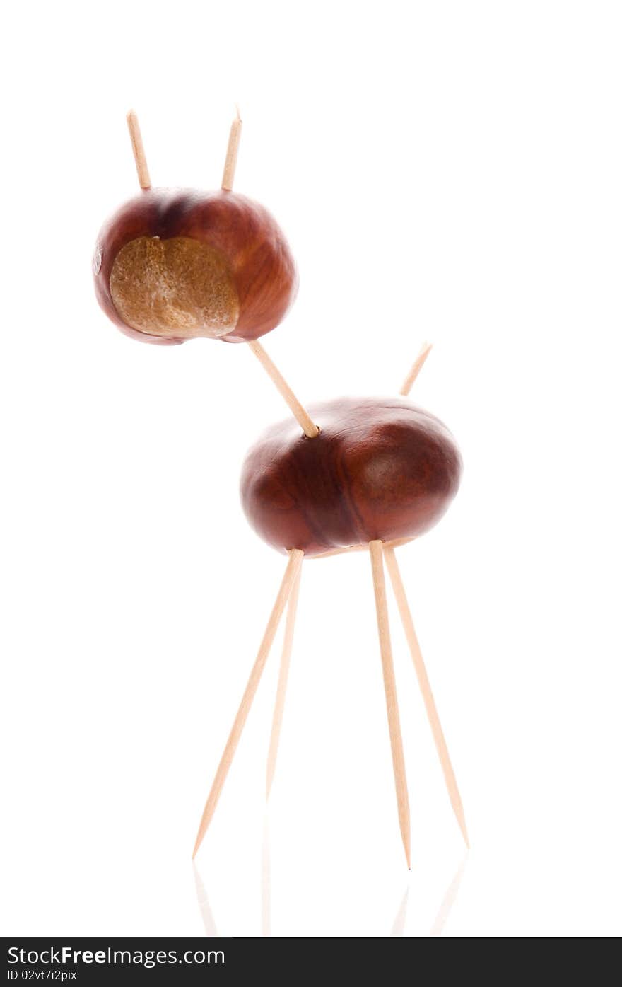 Funny chestnut toy isolated on the white background