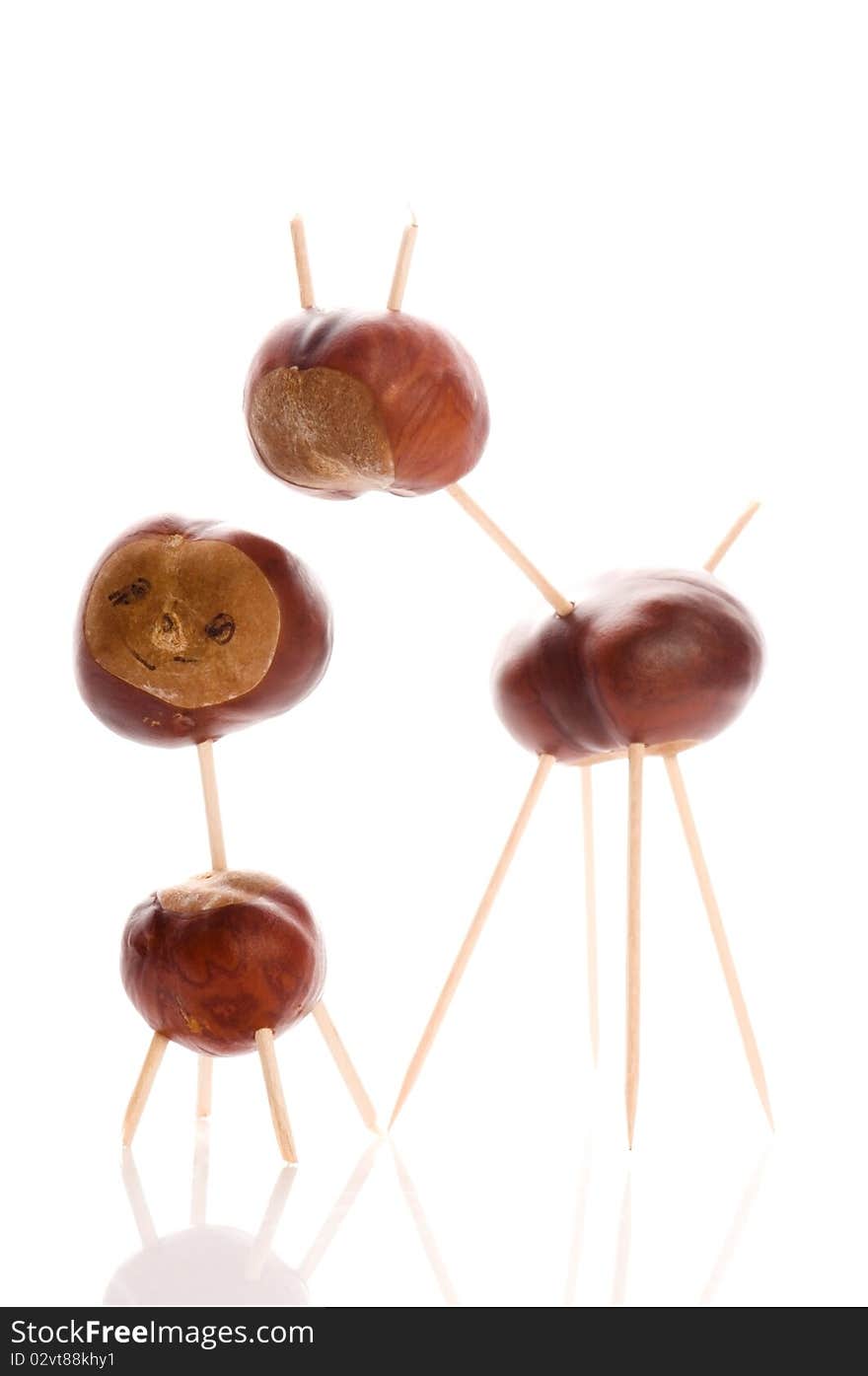 Funny chestnut toy isolated on the white background