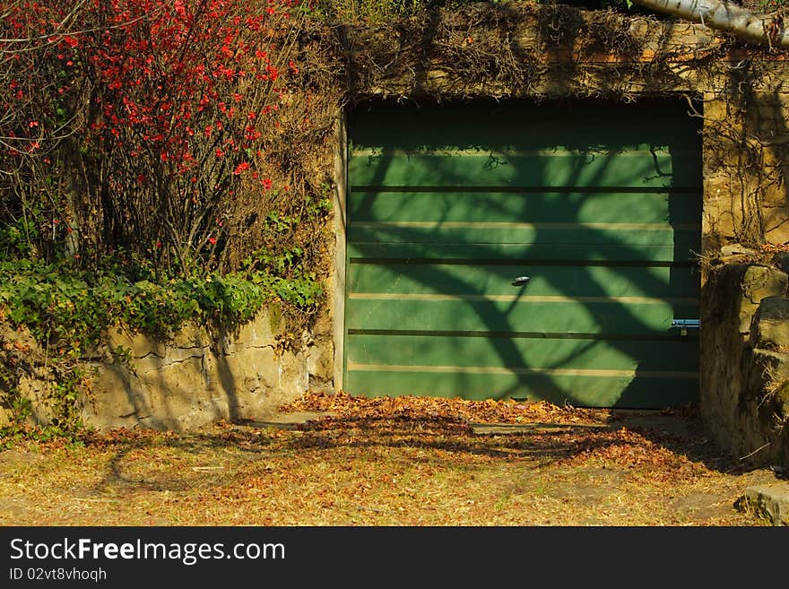 Green Door