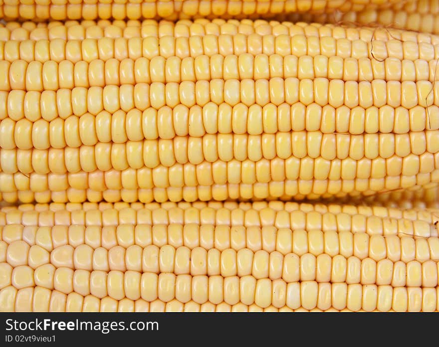 Close up of corn cob