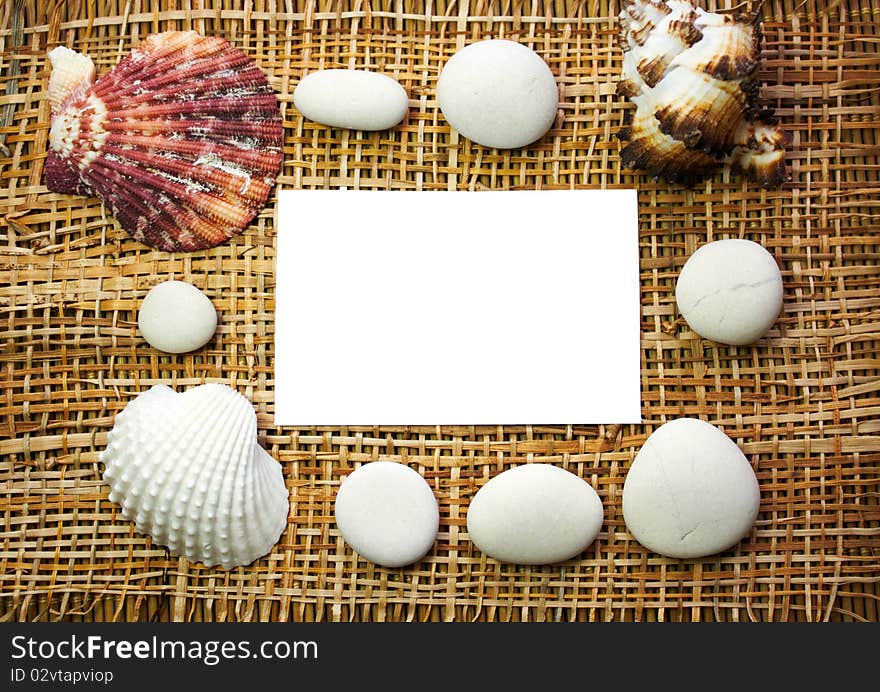 White background with Seashell