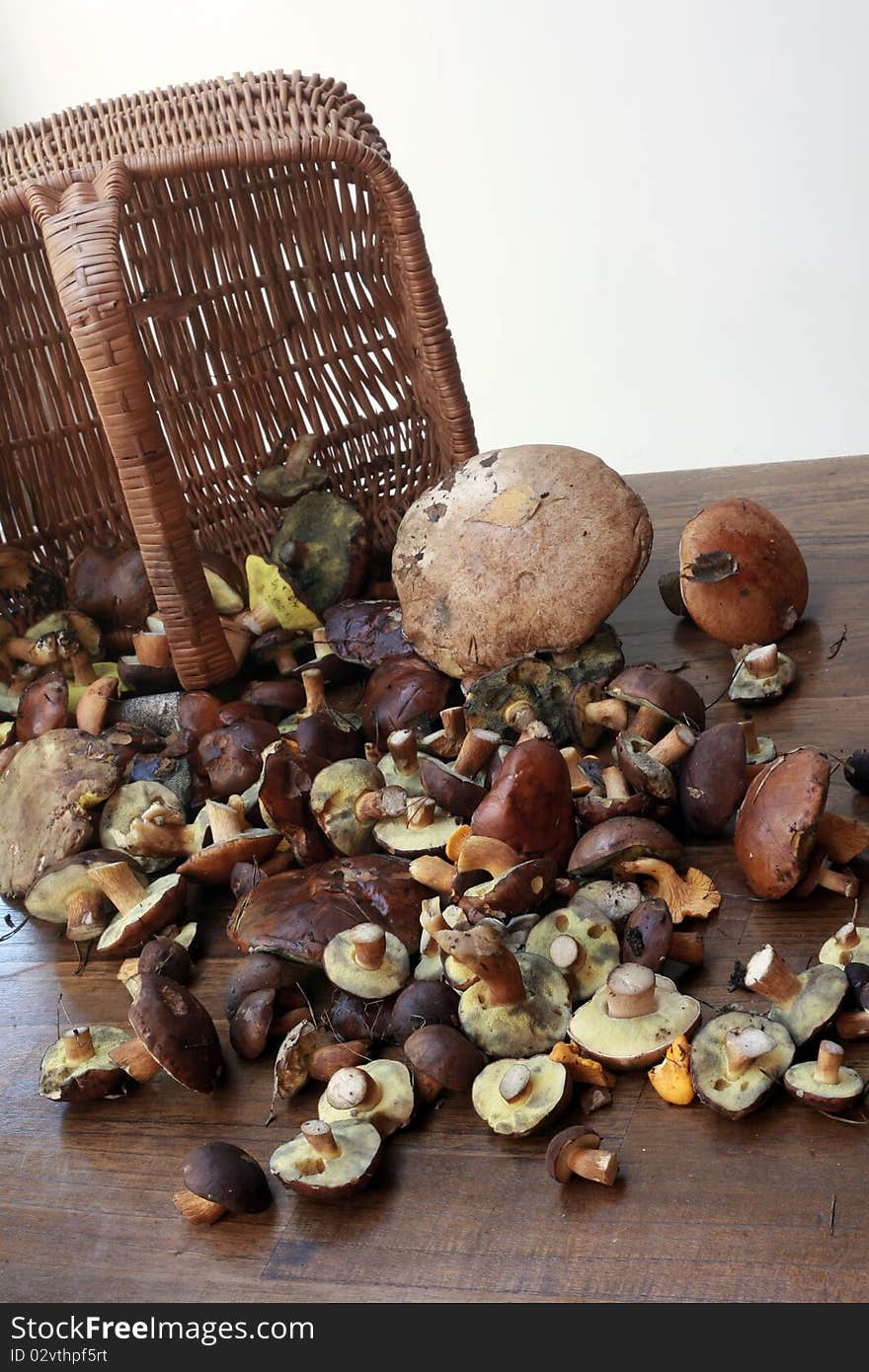 Various mashrooms on the table