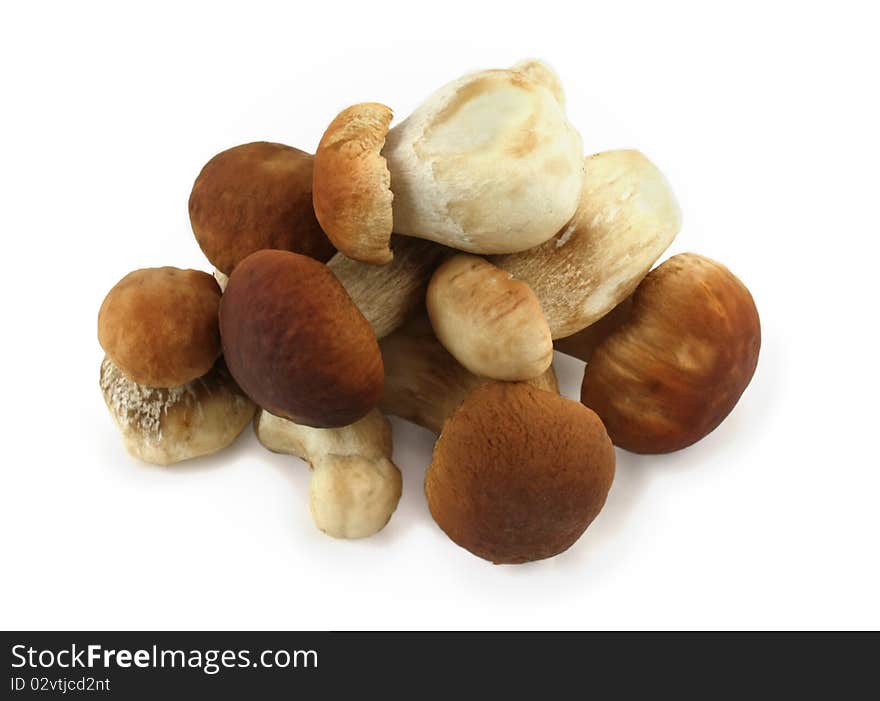 Boletus Mushroom On A White Background