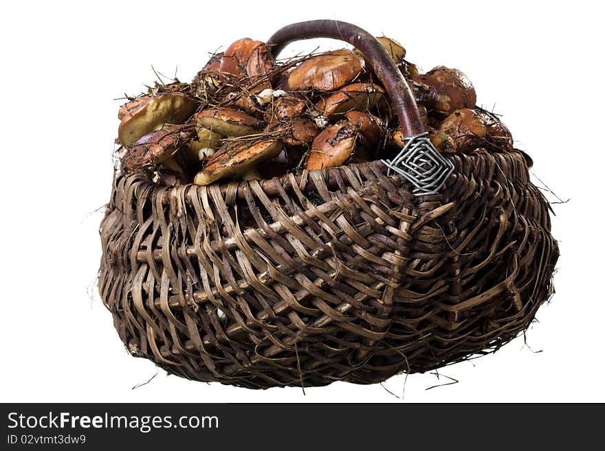 Basket with mushrooms