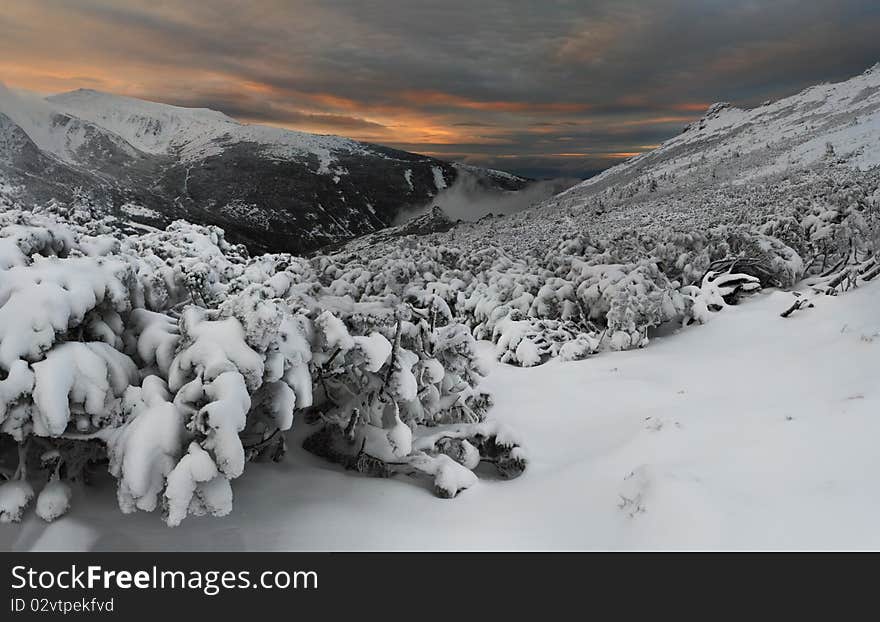 Mystical Winter Evening