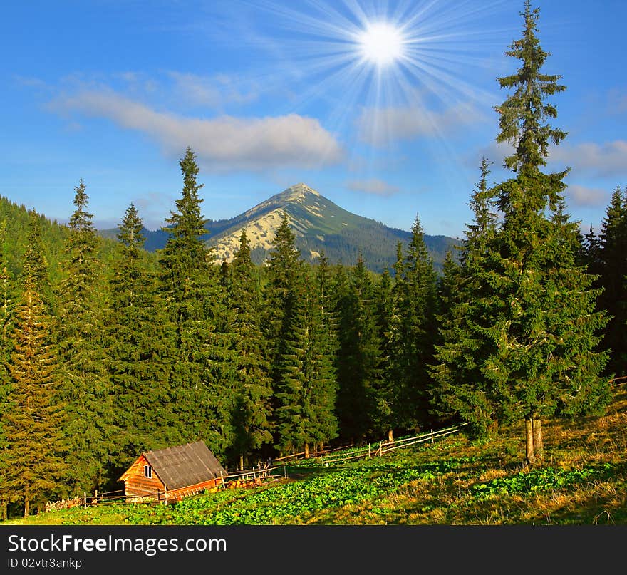 Beautiful summer moning in the Carpathian mountains