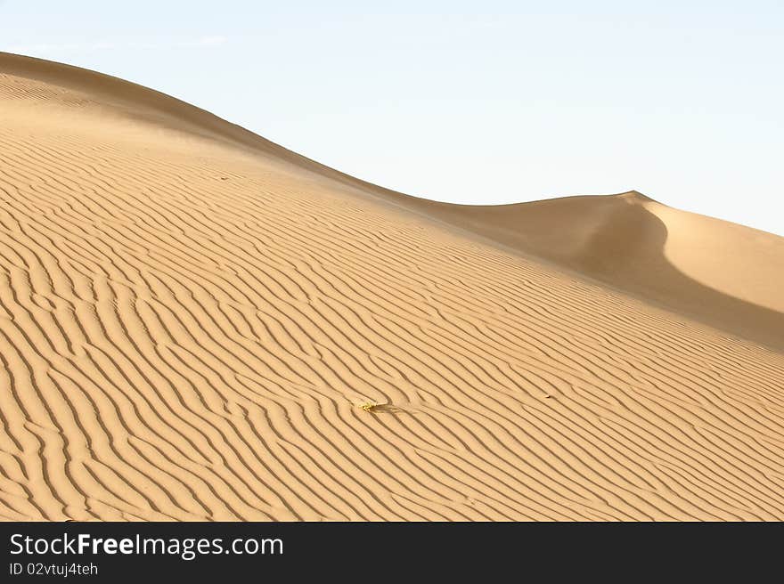 Slope of the dune