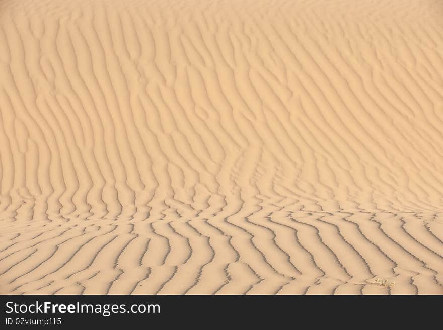 Sand pattern on a vertical surface of dune. Sand pattern on a vertical surface of dune.