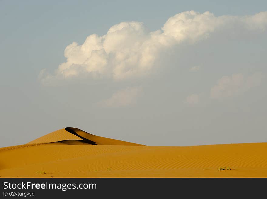 Сurve in the sand