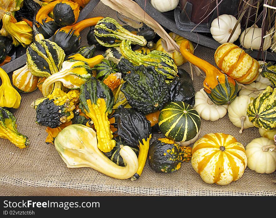 Variety of colorful gourds displayed on burlap