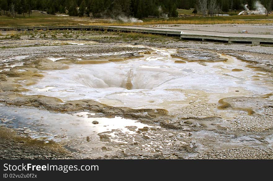 geyser in the yellow stone national park america. geyser in the yellow stone national park america