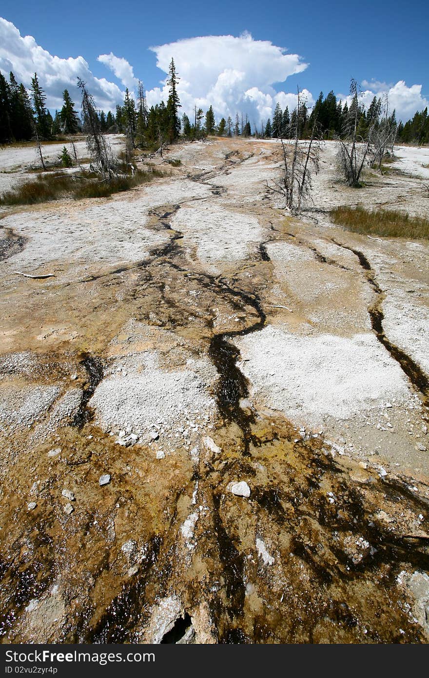 Landscapes of yellow stone national park