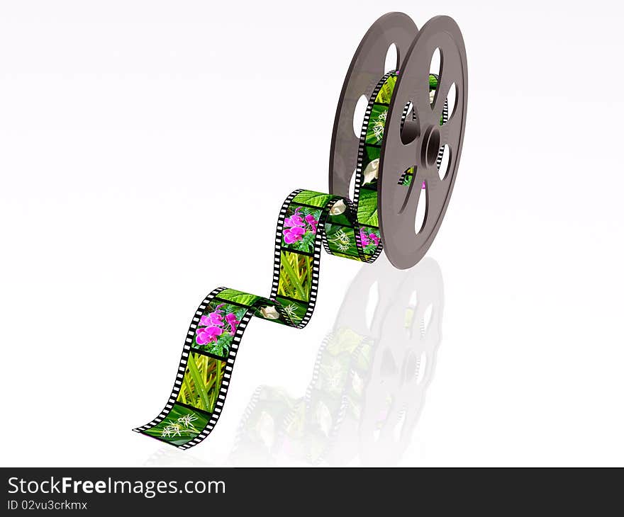 3d film roll with color pictures (nature).