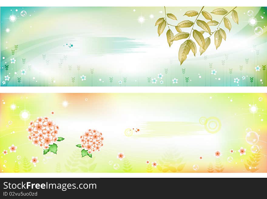 Flower banner vector