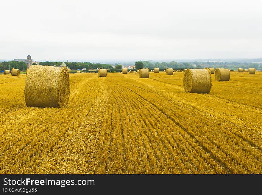 Rolling Straw