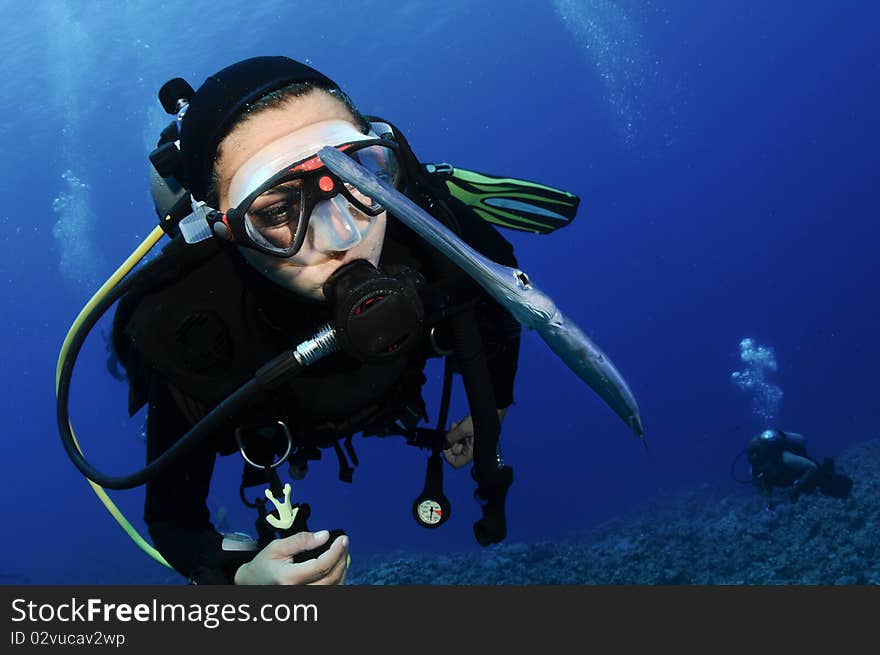 Scuba diver swims over reef with fish. Scuba diver swims over reef with fish