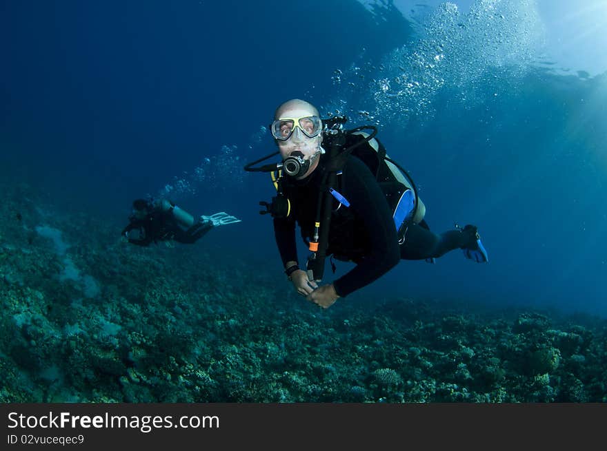 Two scuba divers explore a tropical reef. Two scuba divers explore a tropical reef