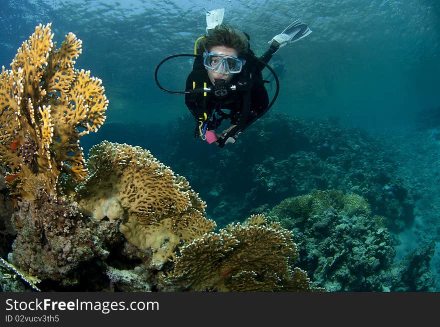 Scuba diver swims over reef