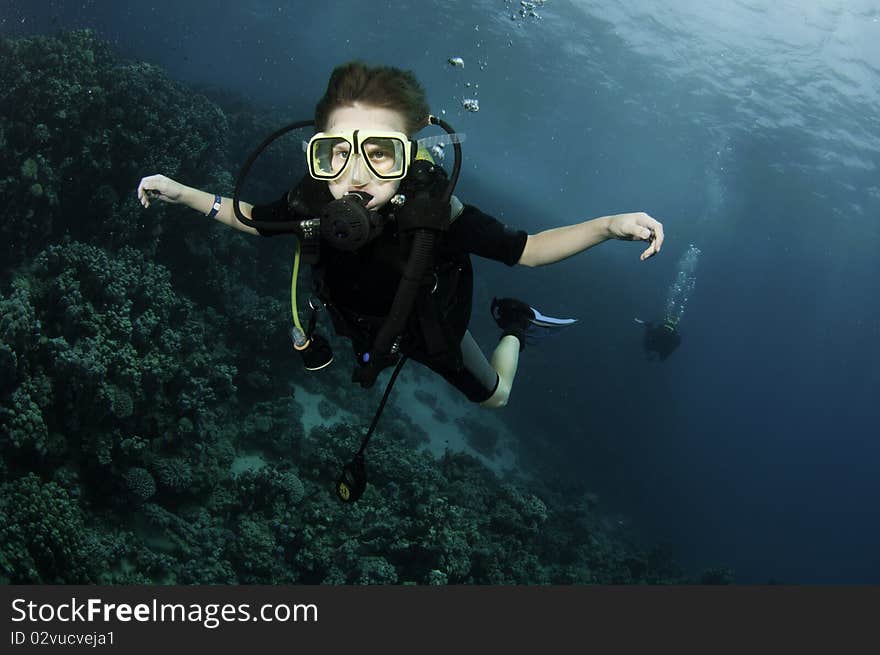 Young boy scuba dives in ocean. Young boy scuba dives in ocean