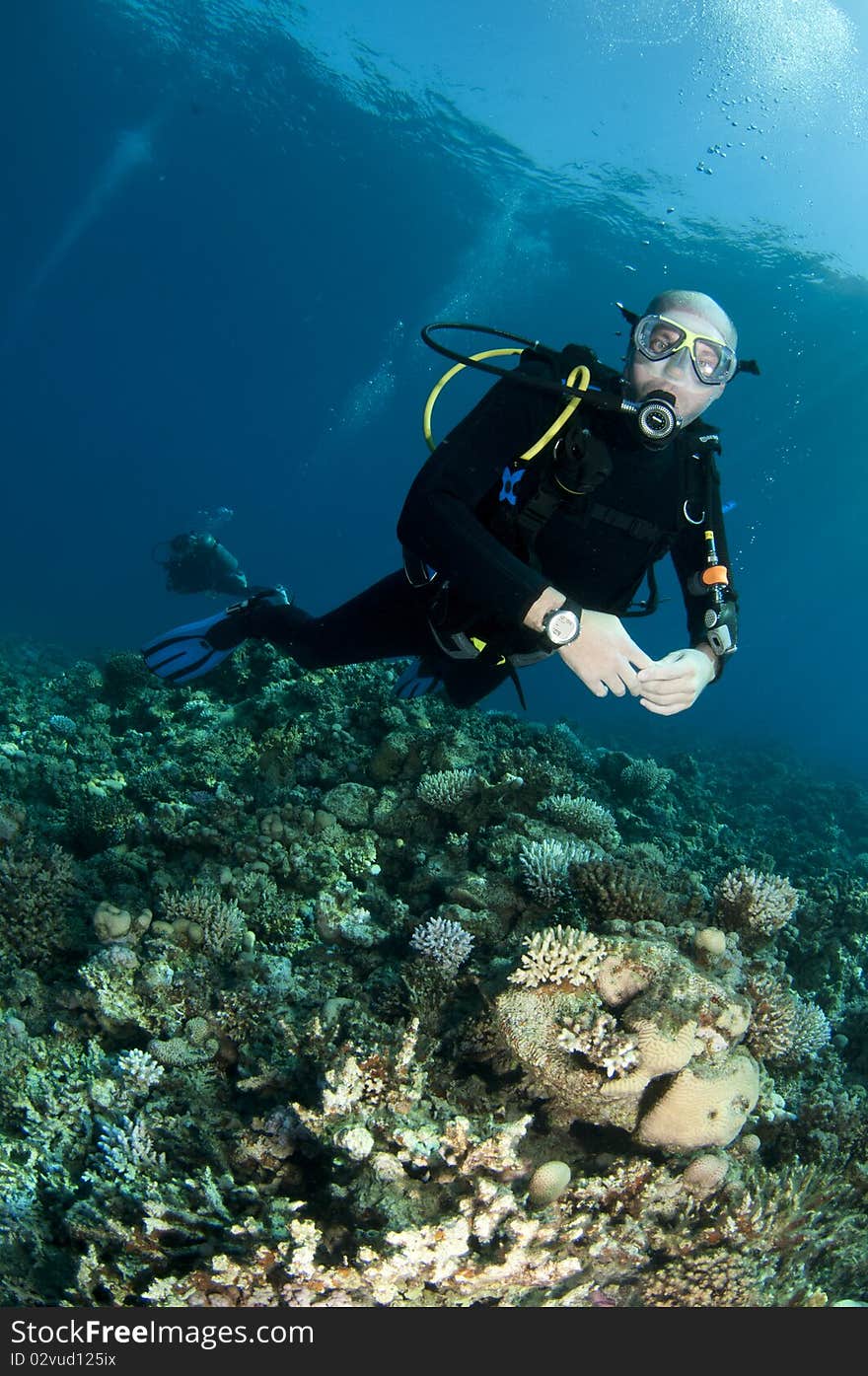 Scuba diver swims over reef