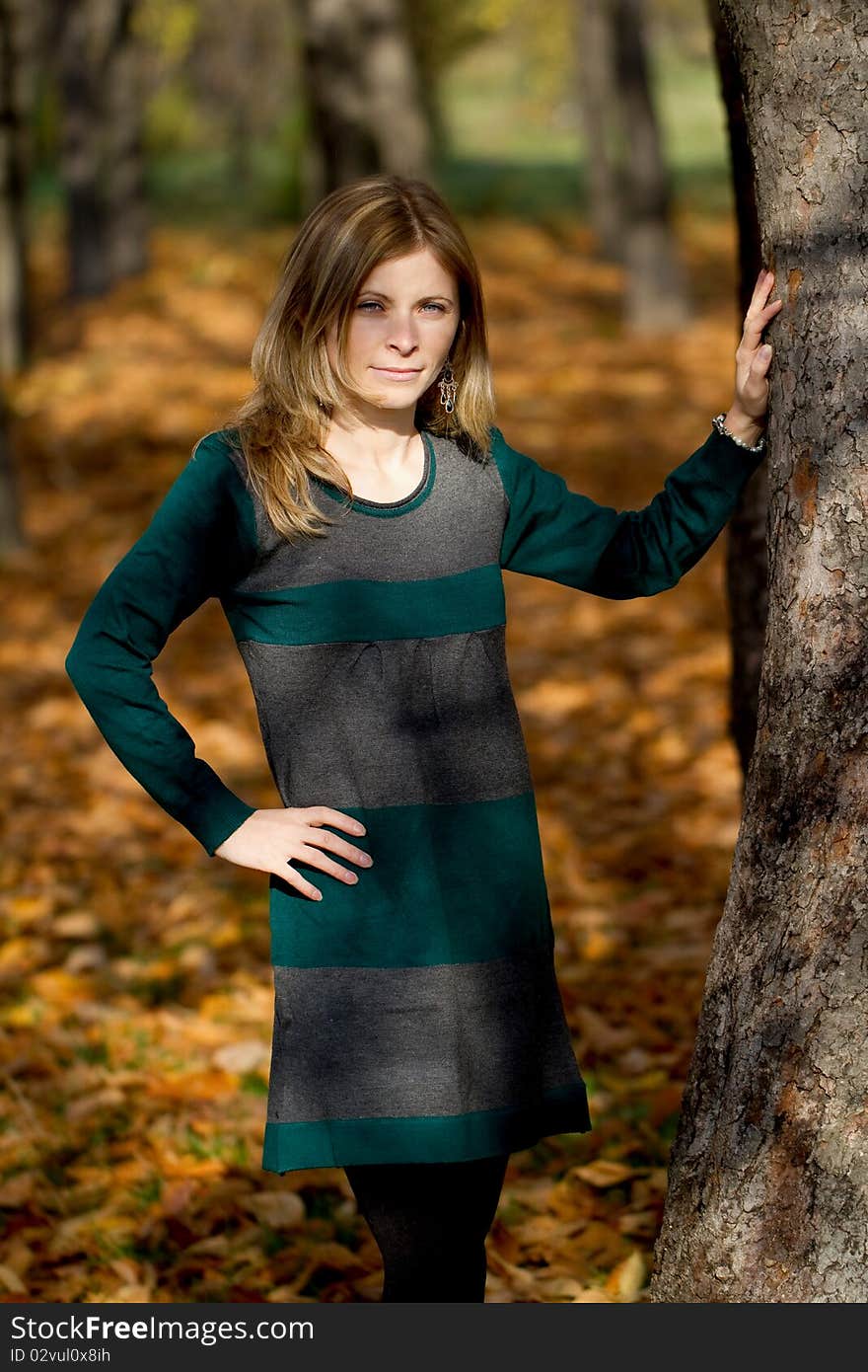 Blonde woman posing near a tree in autumn light. Blonde woman posing near a tree in autumn light