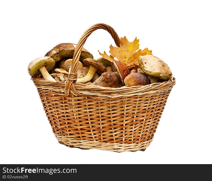 Basket with mushrooms