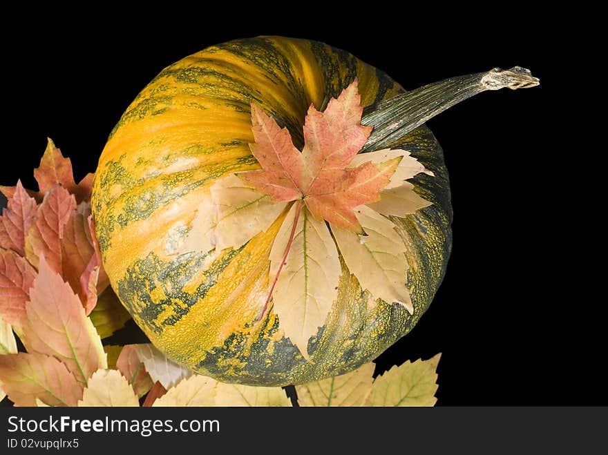 Pumpkin and leafs