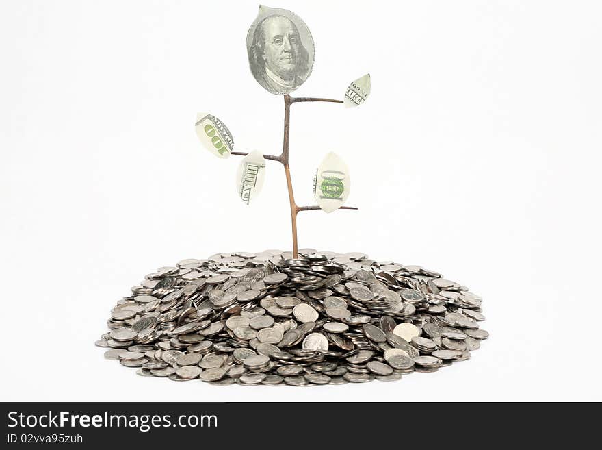 Monetary tree growing from coins