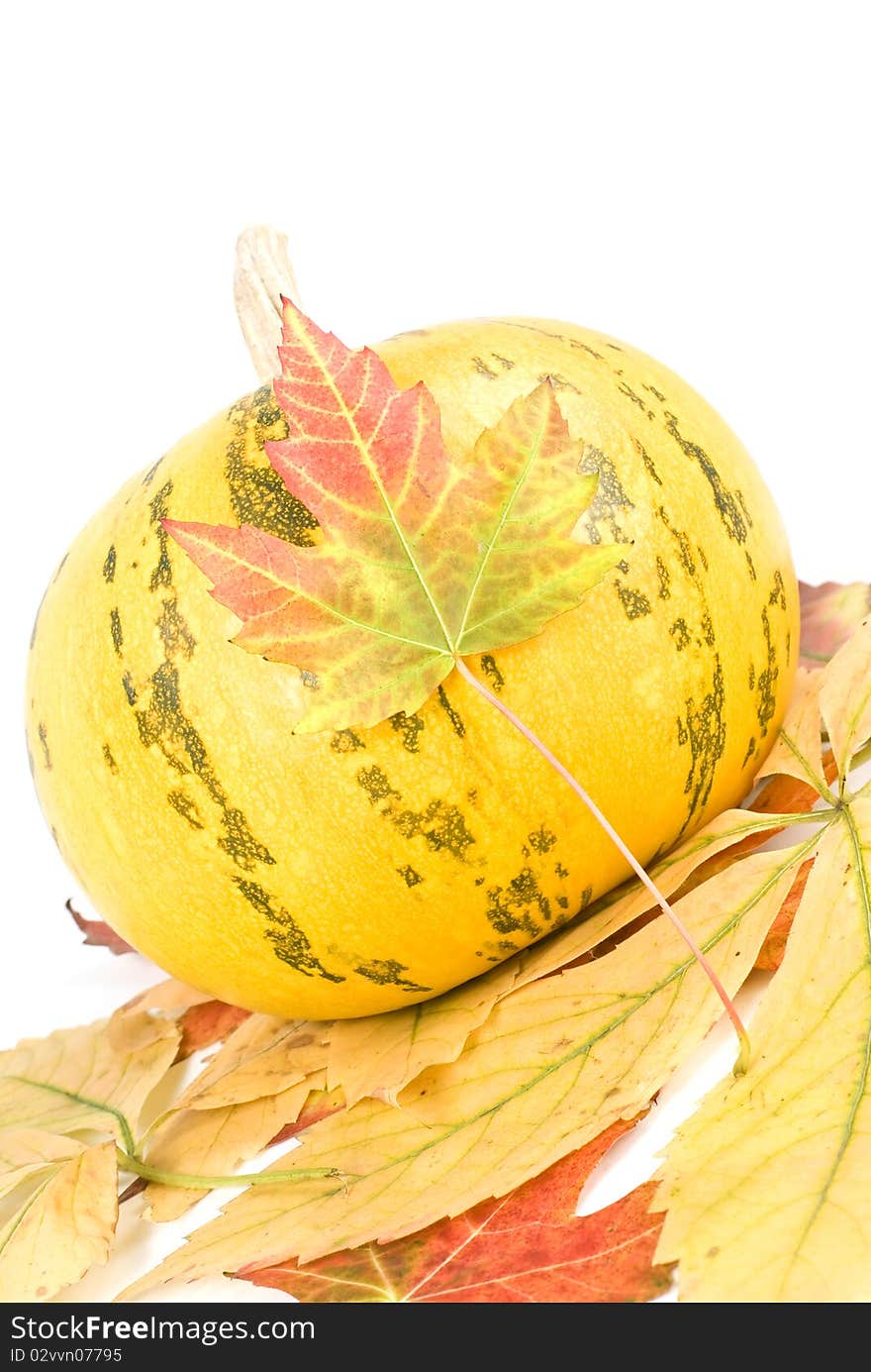 Pumpkin and leafes isolated on white