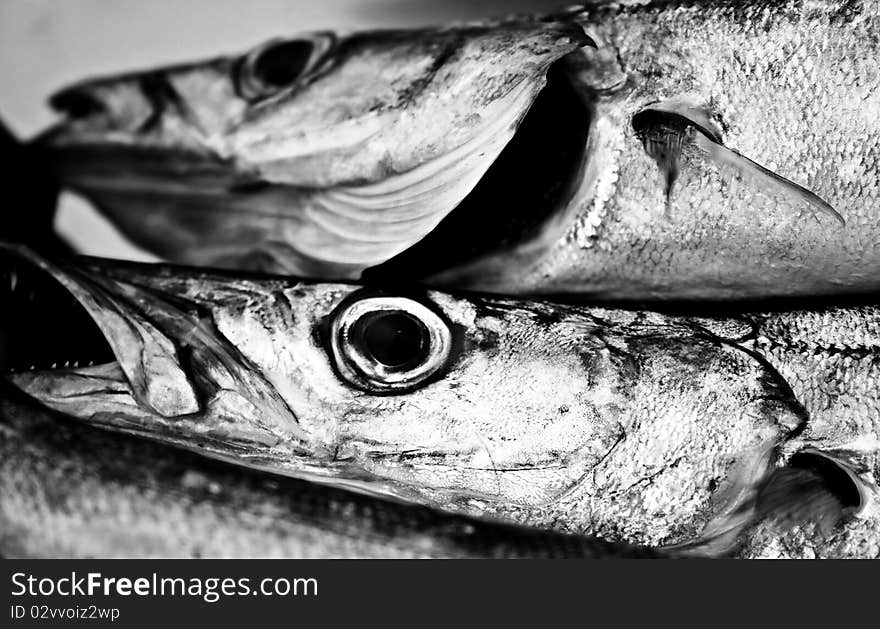 Two dead fishes,with detail on eye