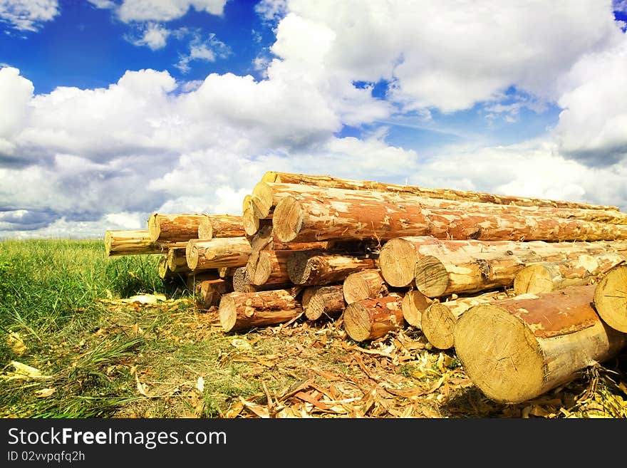 A lot of pine logs to build a house. A lot of pine logs to build a house