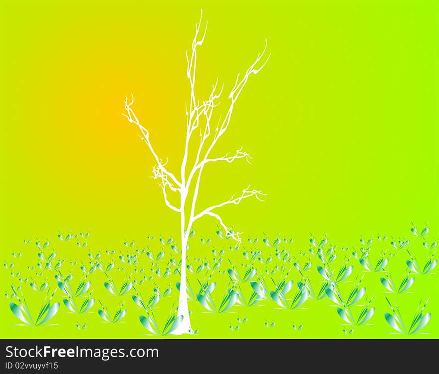 Silhouette of dry tree at sunset and green vegetation